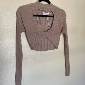 Petal + Pup Blush Crop Top🌸🎀